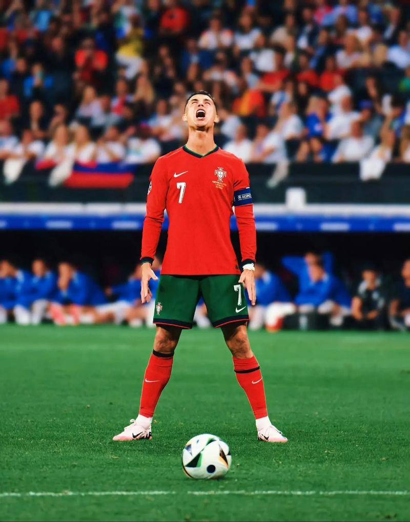 青训体系下 青训体系下