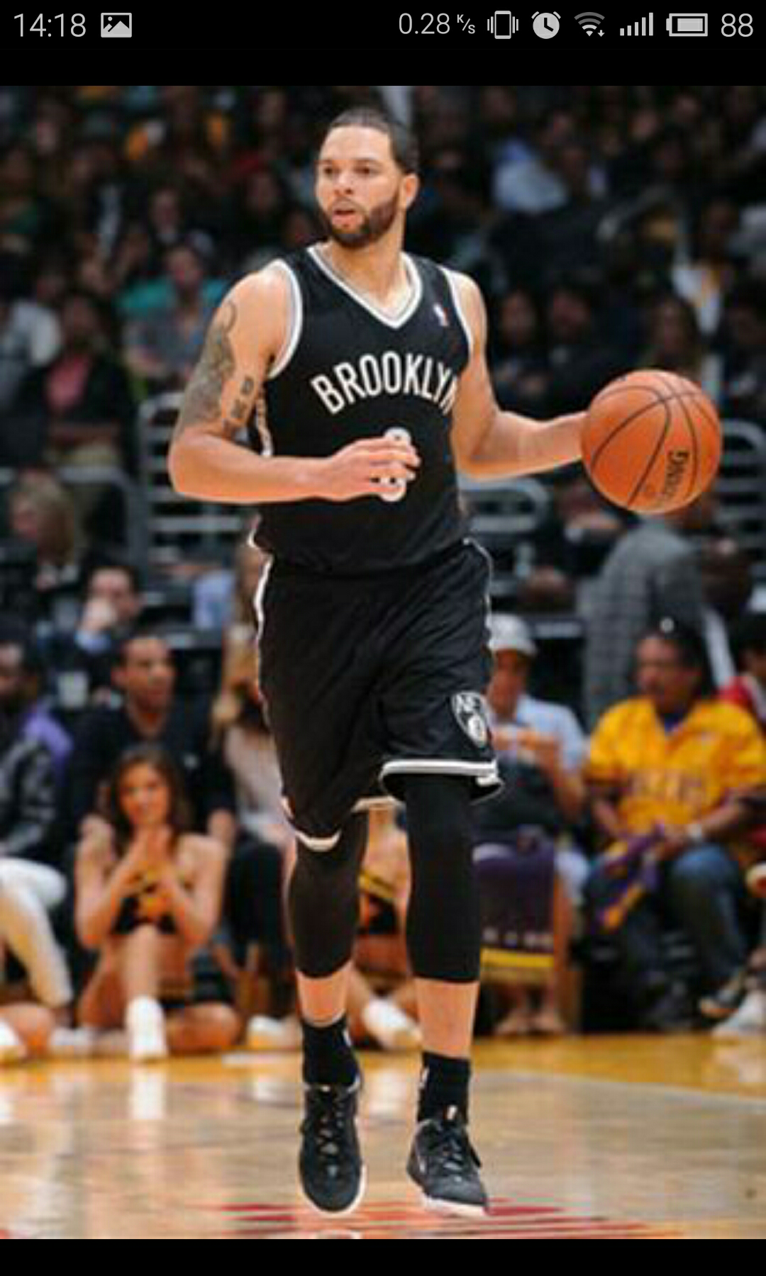 纷在不断调 纷在不断调