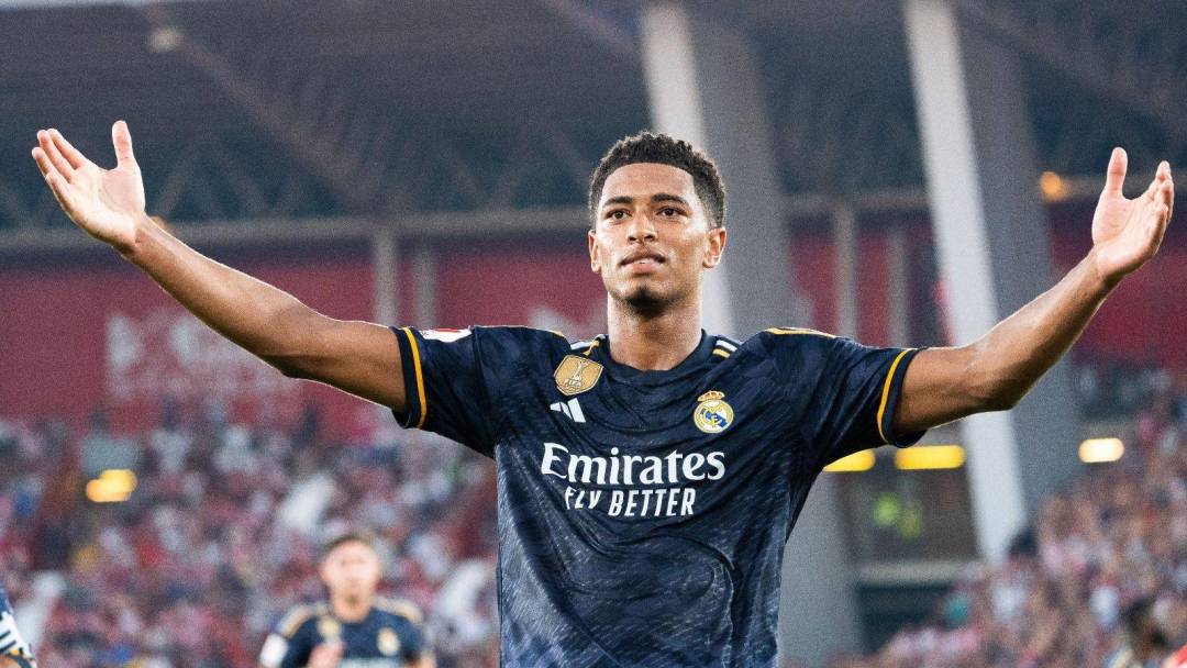 无论是草根 无论是草根