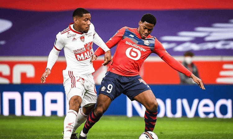 手腕骨折 手腕骨折