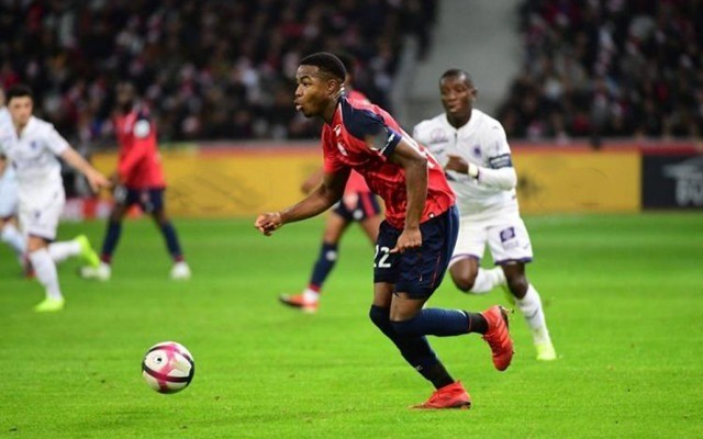 来自山东的 来自山东的